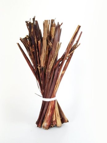 feuilles de mil rouge