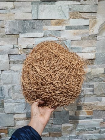 éponge traditionnelle