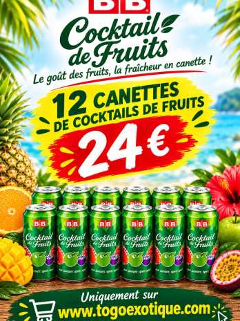 cocktail de fruits 12 cannettes